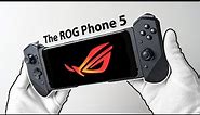 The ROG Phone 5 Unboxing - Crazy Gaming Smartphone! (Minecraft, Fortnite, Call of Duty Mobile)