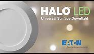 Halo Surface LED Downlight