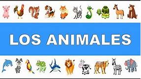 The Animals in Spanish 🦁 🐷 🐴 🐬 🐢