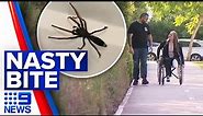 Mother of four has leg amputated after spider bite | 9 News Australia