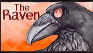 The Raven | Animation | Edgar Allan Poe