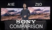 TV Comparison: Sony XBR A1E 4k OLED and Sony XBR Z9D 4k LED
