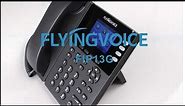 Overview of Flyingvoice FIP13G IP Phone