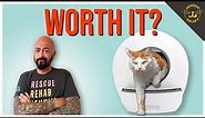The Truth About Automatic Litter Boxes