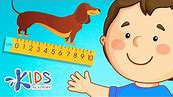 Measuring Length: Centimeters, Inches, Feet and Yards | Math for 2nd Grade | Kids Academy