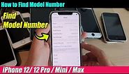 iPhone 12/12 Pro: How to Find iPhone Model Number