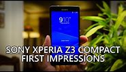 Sony Xperia Z3 Compact Unboxing and First Impressions