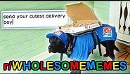 r/WholesomeMemes · the CUTEST delivery boy