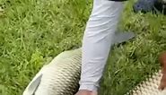 What was the biggest and most surprising catch you've ever had? #reels #fishing #amazing #animals #viral #fish | Zak Catch Em