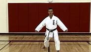 Basic Karate Kicks - Mawashigeri