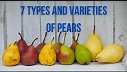 7 Types and Varieties of Pears