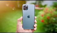 iPhone 11 Pro Detailed Camera Review