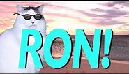 HAPPY BIRTHDAY RON! - EPIC CAT Happy Birthday Song