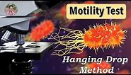 Bacterial Identification Tests: Motility Test (Hanging drop method)