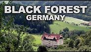 Black Forest (Schwarzwald) in Southwest Germany