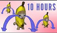 Banana Cat Crying 10 Hours