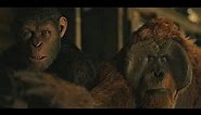 Finding Nova Scene | War for the Planet of the Apes (2017)#LOWI