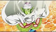 Piccolo All Forms And Transformations