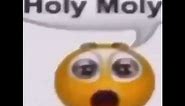 1 Hour Of Holy Moly Emoji