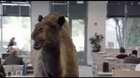 Geico - Hump Day REMIX "Guess What Day It Is" Camel (FINAL) Happier than a Camel on Wednesday