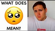 What Does the Pleading Face Emoji Mean? | Emojis 101