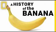 The Surprising History of Bananas in Under 2 Minutes | National Geographic