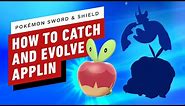 How to Evolve Applin to Appletun or Flapple - Pokemon Sword and Shield