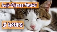 Songs for Nervous Cats! Soothing Music to Calm Your Hyperactive, Anxious Cat and Help with Sleep! 🐈