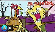 Ed Edd n Eddy | Ed Looks After Rolf's Animals | Cartoon Network
