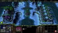 Warcraft 3 TFT - Troll vs Elves #1