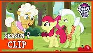 Apple Bloom hunts for the Great Seedling (Going to Seed) | MLP: FiM [HD]