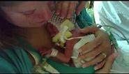 Premature Babies | One Born Every Minute