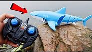 Top 10 Best Remote Control Sharks on Amazon!