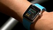 Apple Watch 1st Details Revealed: 3 Versions to Be Released