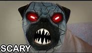 Demon Pug dog (scary face)