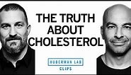 The Truth About Dietary Cholesterol | Dr. Peter Attia & Dr. Andrew Huberman