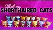 All of My LPS Shorthaired Cats!
