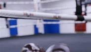 @cjthetechnician #topboxer #topboxerboxing #customboxing #boxeo #ufc #mma #boxinggloves #boxinglife #customboxinggloves #boxingequipment #복싱 #다이어트복싱 #kickboxing #muaythai #gym #mmalife #martialarts #boxing #leather #mitts #padwork #fitness #oldschoolboxing | TopBoxer Custom Boxing Equipment