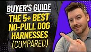 TOP 5 Best No-Pull Dog Harnesses - Best No-Pull Dog Harness Review (2024)