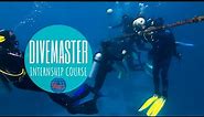 All You Need To Know About the PADI Divemaster