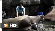 Vomiting Walrus - 50 First Dates (3/8) Movie CLIP (2004) HD