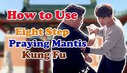 How to use Eight Step Praying Mantis Kung Fu ? / Leon Chu (朱思勳)