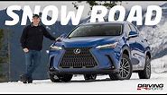 2022 Lexus NX 250 AWD Review and Snow Mountain Adventure