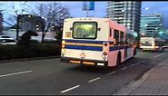 Various Translink Bus Take Offs