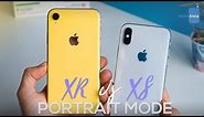 Apple iPhone XR vs XS: Night-time Portrait Comparison