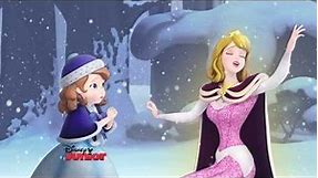 Disney's Princess Aurora, from Sleeping Beauty, on ''Sofia the First'' (Holiday in Enchancia)