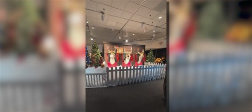 The Enchanted Forest returns to the Pink Palace museum