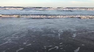 5.4K views · 227 reactions | Beautiful weather expected this weekend, says the weatherman. #portaransas #beach #weather #texasriviera | Port Aransas Beachlife | Facebook