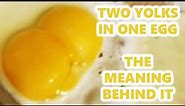 TWO YOLKS in ONE EGG The meaning behind it