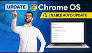 Update Chrome OS with Latest Build Version | What's New in Chrome OS Accessibility Feature